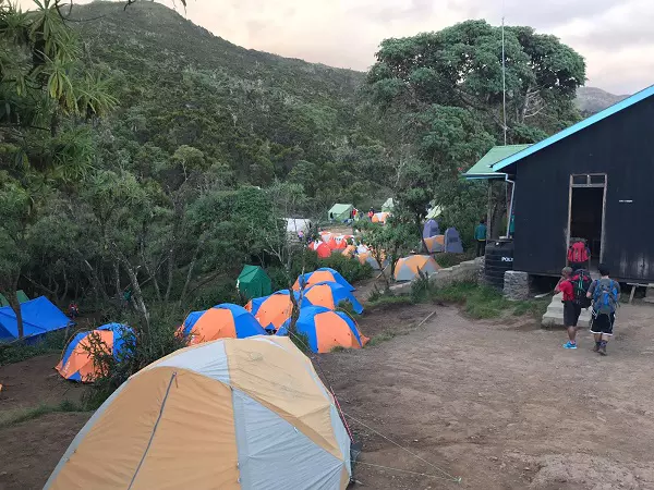 1 Day Kilimanjaro Machame Route