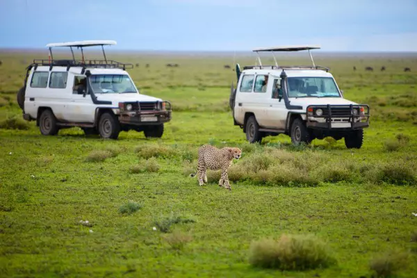 Tanzania Sharing Safari Packages