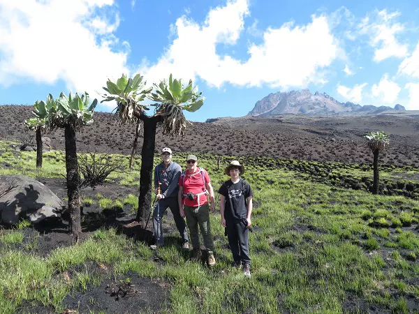 Kilimanjaro 8 Days Lemosho Route